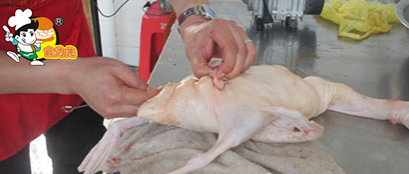 广式烧腊的做法项目实际操作内容一 广式烧腊制作原材料的认识与选用鸭、猪肉等原材的初步处理方法；